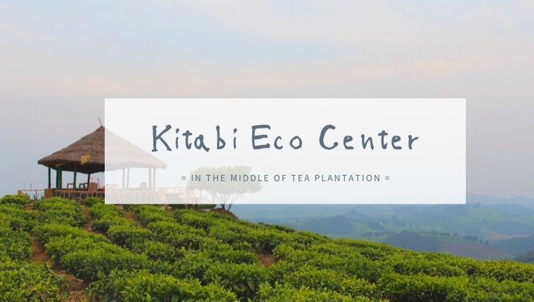 ルワンダの紅茶畑見学！Kitabi Eco Center