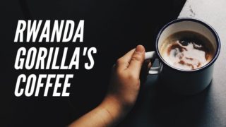キガリにいながらルワンダのコーヒー産業体験！