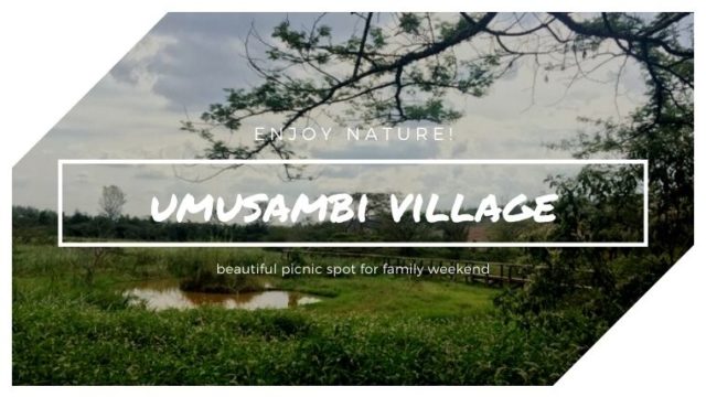 鳥の保護公園！家族連れにピッタリのUmusambi Village