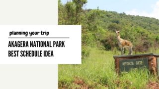 ルワンダのアカゲラ国立公園！おすすめの旅行スケジュールは？
