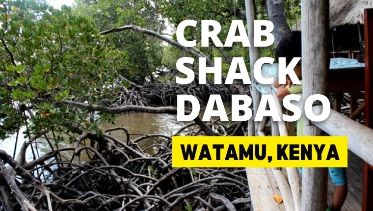 【ケニア】ワタム村のマングローブ密林を散策Crab Shack