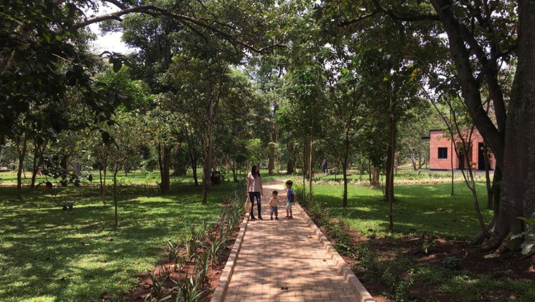 改めての自己紹介というか、やっていることたち