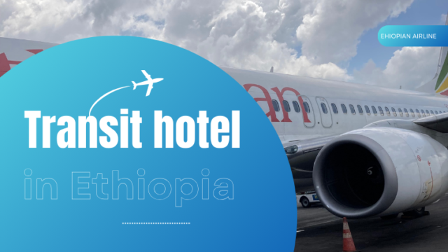 ルワンダから日本に移動！エチオピア航空利用でプチ観光